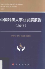 2017中国残疾人事业发展报告