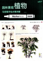 园林景观植物马克笔手绘步骤详解