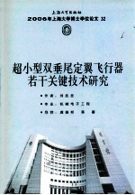 超小型双垂尾定翼飞行器若干关键技术研究