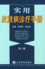 实用皮肤病诊疗手册 第2版