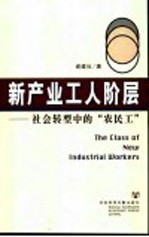 新产业工人阶层 社会转型中的“农民工”