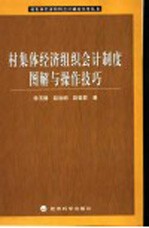 村集体经济组织会计制度图解与操作技巧