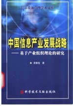 中国信息产业发展战略  基于产业组织理论的研究