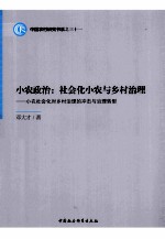 小农政治  社会化小农与乡村治理  小农社会化对乡村治理的冲击与治理转型