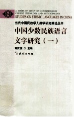 中国少数民族语言文字研究  1