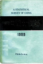 中国统计摘要 1989