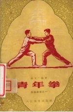 青年拳