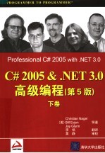 C# 2005＆.NET 3.0高级编程 第5版 下