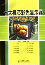 十大机芯彩色显示器维修精要与实例 第2册