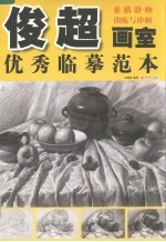 俊超画室优秀临摹范本 素描静物训练与冲刺