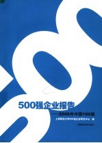 500强企业报告  2006年中国100强