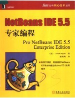 NetBeans IDE5.5专家编程