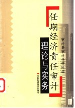 任期经济责任审计理论与实务