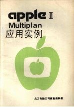 Multiplan应用实例