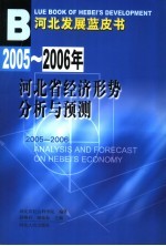 2005-2006年河北省经济社会形势分析与预测 经济卷