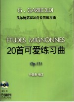 戈尔鲍第双20首长笛练习曲 20首可爱练习曲