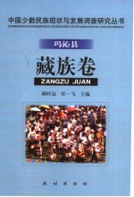 中国少数民族现状与发展调查研究丛书 玛沁县藏族卷