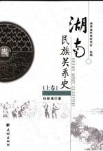 湖南民族关系史 上