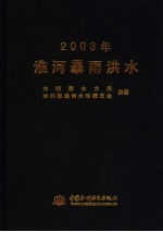 2003年淮河暴雨洪水