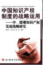 中国知识产权制度的战略运用 中、微观知识产权发展战略研究