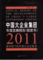 中国大企业集团年度发展报告（紫皮书） 2011