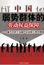 中国弱势群体的劳动权益保障 基于农民工与破产企业职工两大群体