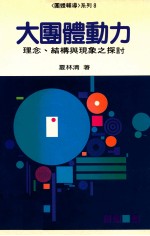 大团体动力 理念、结构与现象之探讨