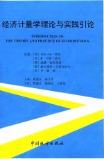 经济计量学理论与实践引论