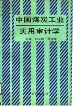 中国煤炭工业实用审计学