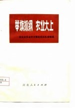 举旗抓纲 农业大上-河北省农业学大寨会议社队经验选