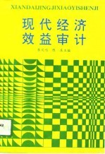 现代经济效益审计