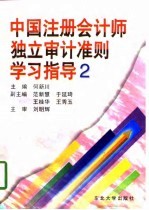 中国注册会计师独立审计准则学习指导 2