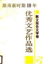 湖南新时期10年优秀文艺作品选 散文报告文学卷