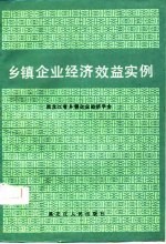 乡镇企业经济效益实例