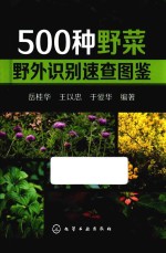 500种野菜野外识别速查图鉴