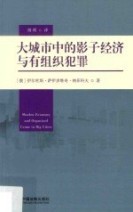 大城市中的影子经济与有组织犯罪