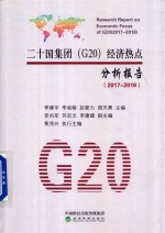 二十国集团（G20）经济热点分析报告 2017-2018