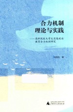 合力机制理论与实践  高职院校大学生思想政治教育合力机制研究