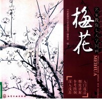 名家教你七天学国画 梅花