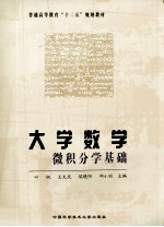 大学数学 微积分学基础