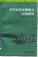 农村经济发展模式比较研究