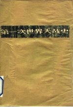 第一次世界大战史  1914-1918  上下