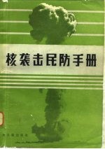 核袭击民防手册