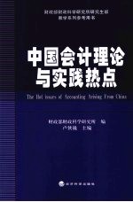 中国会计理论与实践热点