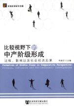 比较视野下的中产阶级形成 过程、影响以及社会经济后果