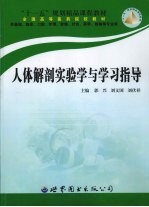 人体解剖实验学与学习指导