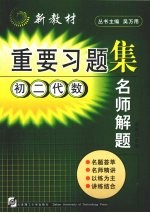 名师解题 初二代数