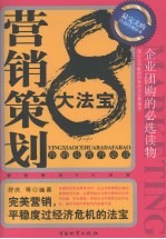 营销策划8大法宝 营销员晋升必读