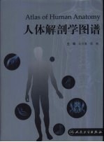 人体解剖学图谱