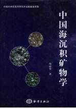 中国海沉积矿物学